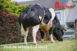 CACHEMIRE DE DESSOUS LA VILLE 90 / 91 / 88 / 94 / 90 / 91 BIENFAITE DE DESSOUS LA VILLE 93 / 89 / 87 / 88 / 85 / 90