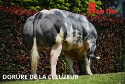 OASIS DE LA FERME DES CROIX 78 / 88 / 81 / 94 / 80 / 87 VALEUR 0894 DE LA CLEUZEUR 78 / 89 / 83 / 94 / 80 / 87